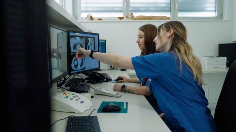 Praktika – Karriere bei den Vorarlberger Landeskrankenhäusern